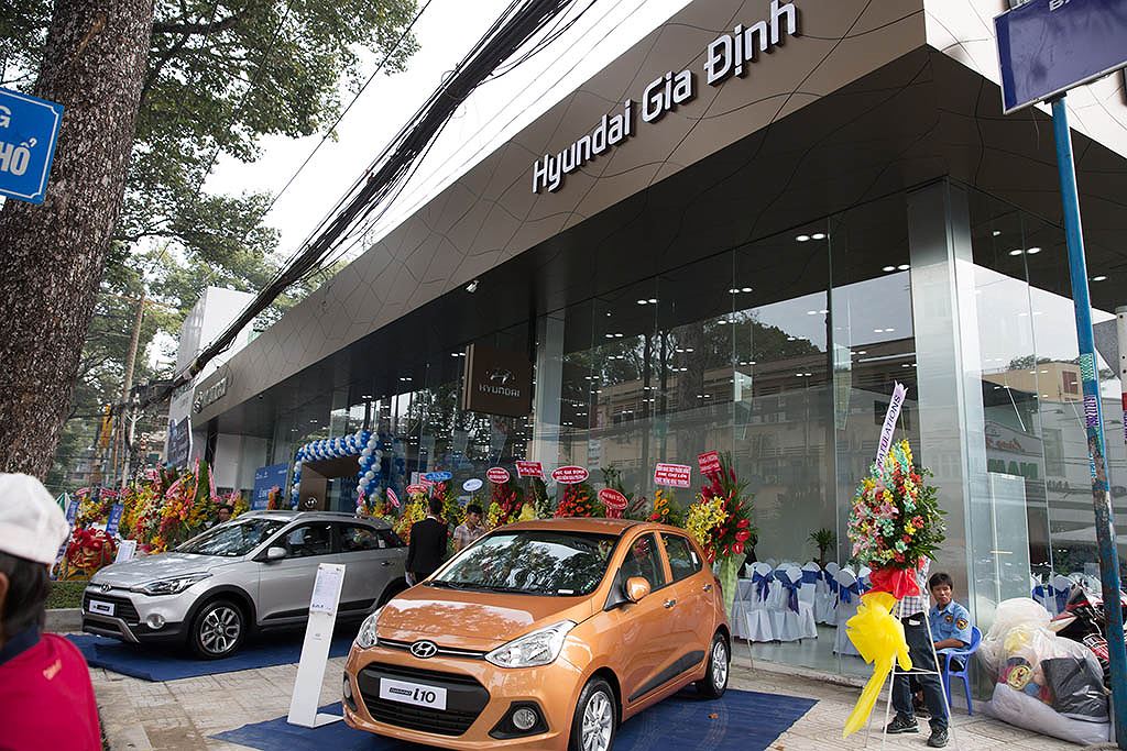 hyundai gia dinh pham dinh ho Giới Thiệu